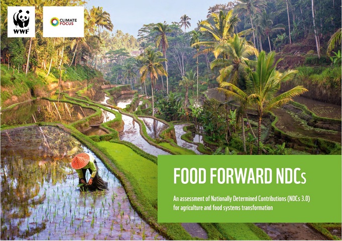 Leia mais sobre o artigo Clima, alimentação e resiliência: novo relatório mostra avanços e lacunas nas metas climáticas dos países