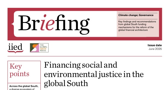 Leia mais sobre o artigo Do local ao global: lições do IIED para uma nova arquitetura financeira e para a proteção social antecipatória