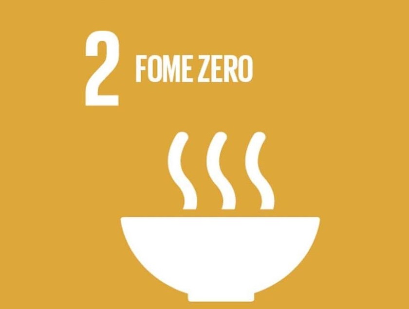Objetivo de Desenvolvimento Sustentável 2 da ONU