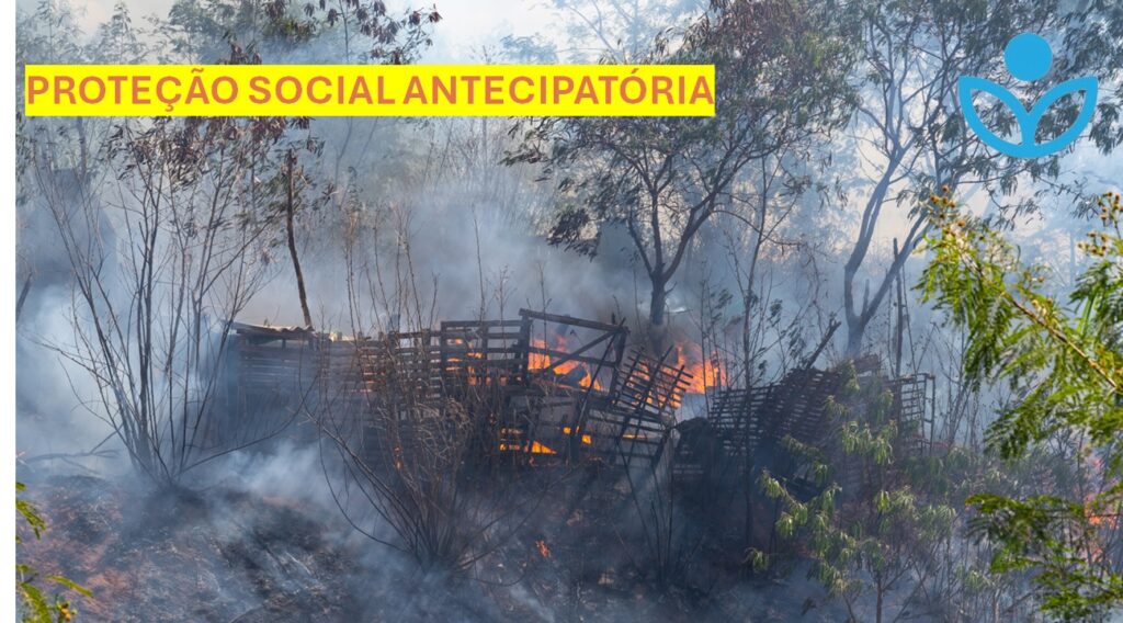 Forest fire damage with smoldering pallets and charred ground, smoke rising around trees, overlaid with a yellow banner reading PROTEÇÃO SOCIAL ANTECIPATÓRIA.