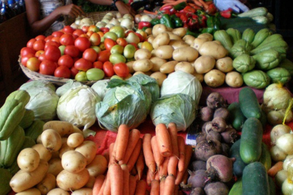 Leia mais sobre o artigo Alimentos baratos, custos altos: por que talvez devêssemos pagar mais pela comida
