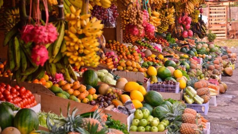 Leia mais sobre o artigo Hambre Cero: la decisión política de un país que siembra oportunidades
