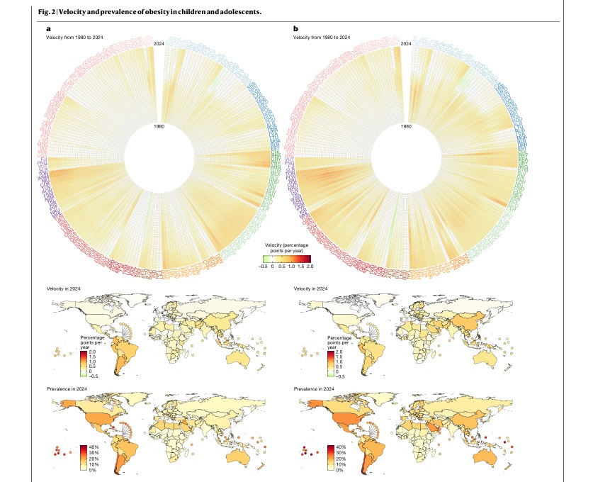 Leia mais sobre o artigo Dois novos estudos mostram que a obesidade entra em uma nova fase global – e exigirá políticas públicas mais inteligentes