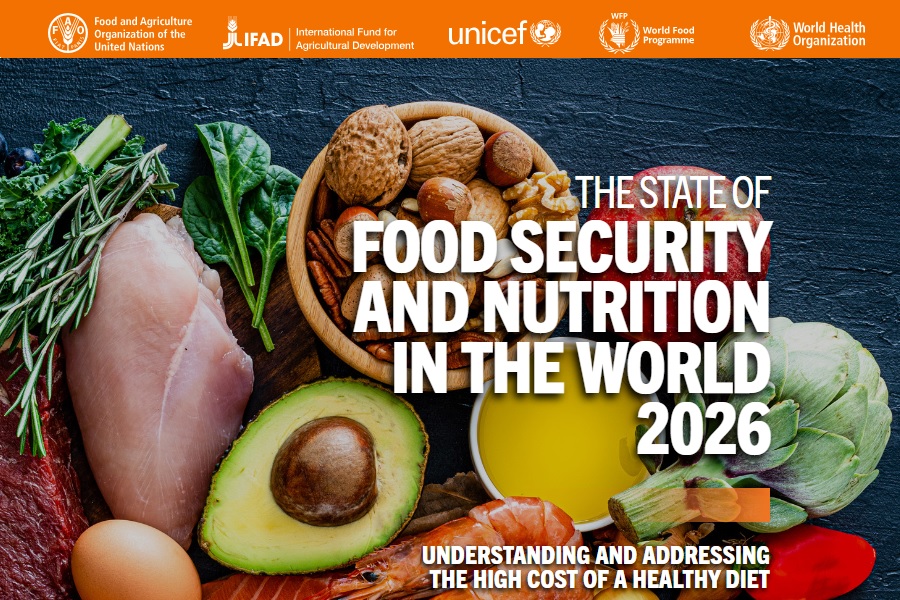 Leia mais sobre o artigo Relatório de notícias e repercussões do lançamento do Estado da Segurança Alimentar e Nutricional no Mundo 2026