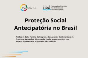 Proteção Social Antecipatória no Brasil HOME BANNER