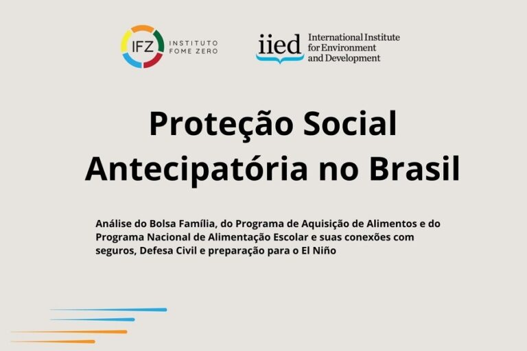 Leia mais sobre o artigo O Brasil já tem os instrumentos. Falta fazê-los agir antes da tempestade