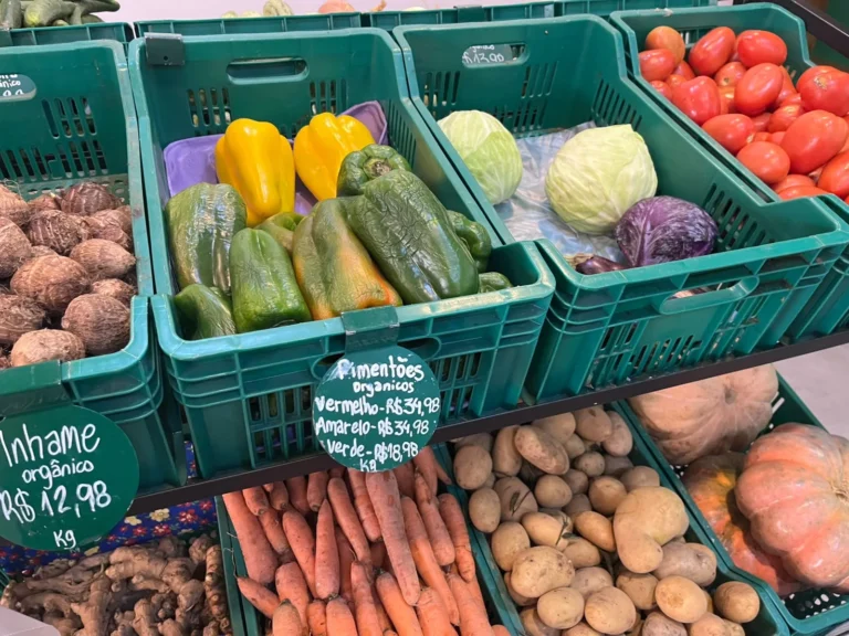 Leia mais sobre o artigo Endividamento e alta taxa de juros fazem conta de consumo de alimentos não fechar, avalia ex-ministro