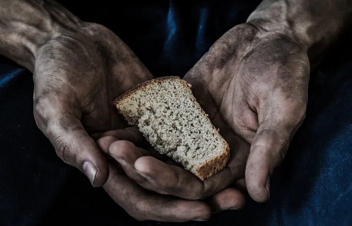 Leia mais sobre o artigo Dia Mundial da Alimentação e a contribuição brasileira para a História do século XXI